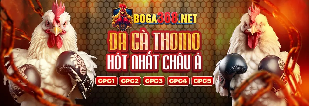 Ưu Đãi Và Liên Kết Bet188 Mới Nhất 2026
